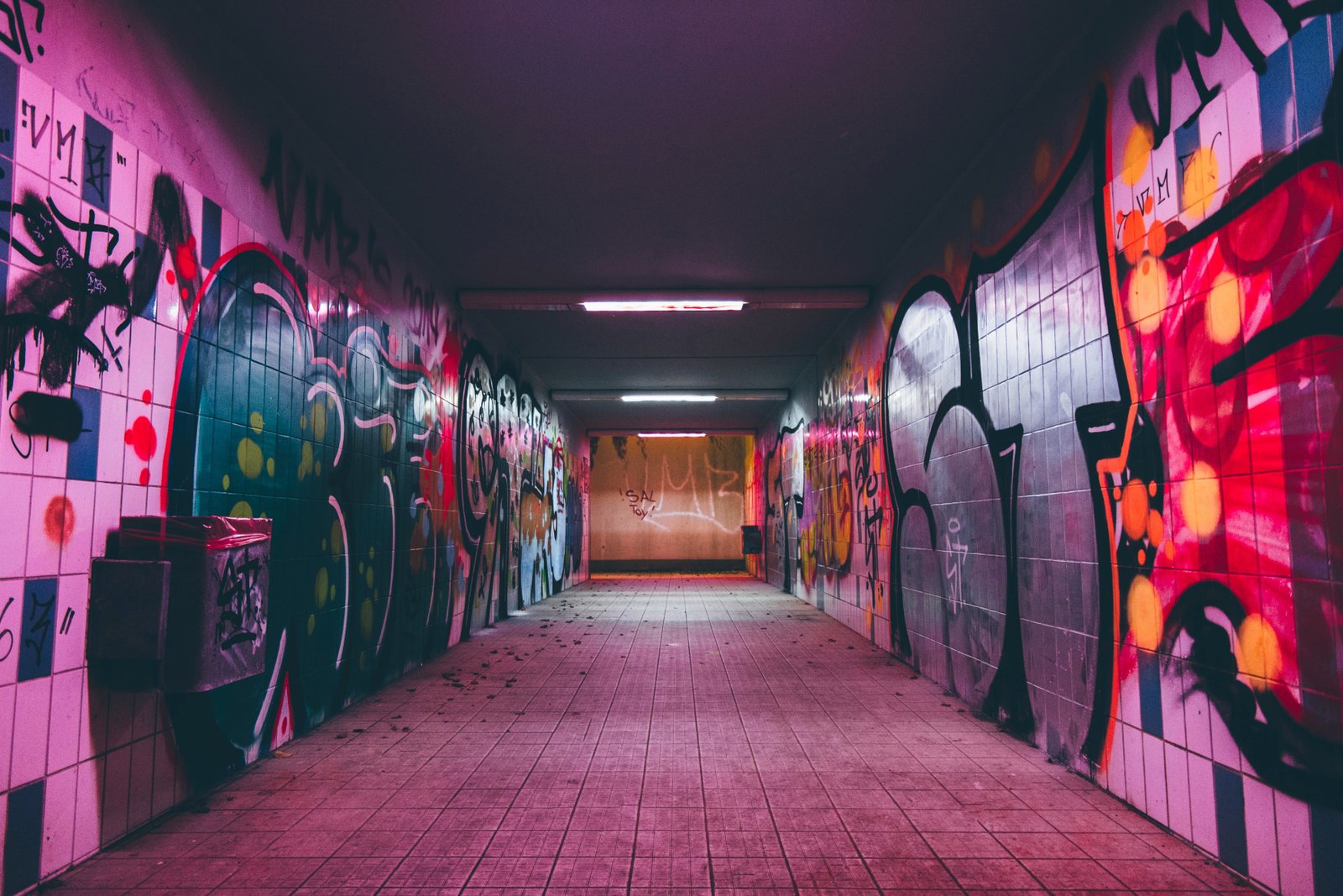 Urban Murals in a Tunel